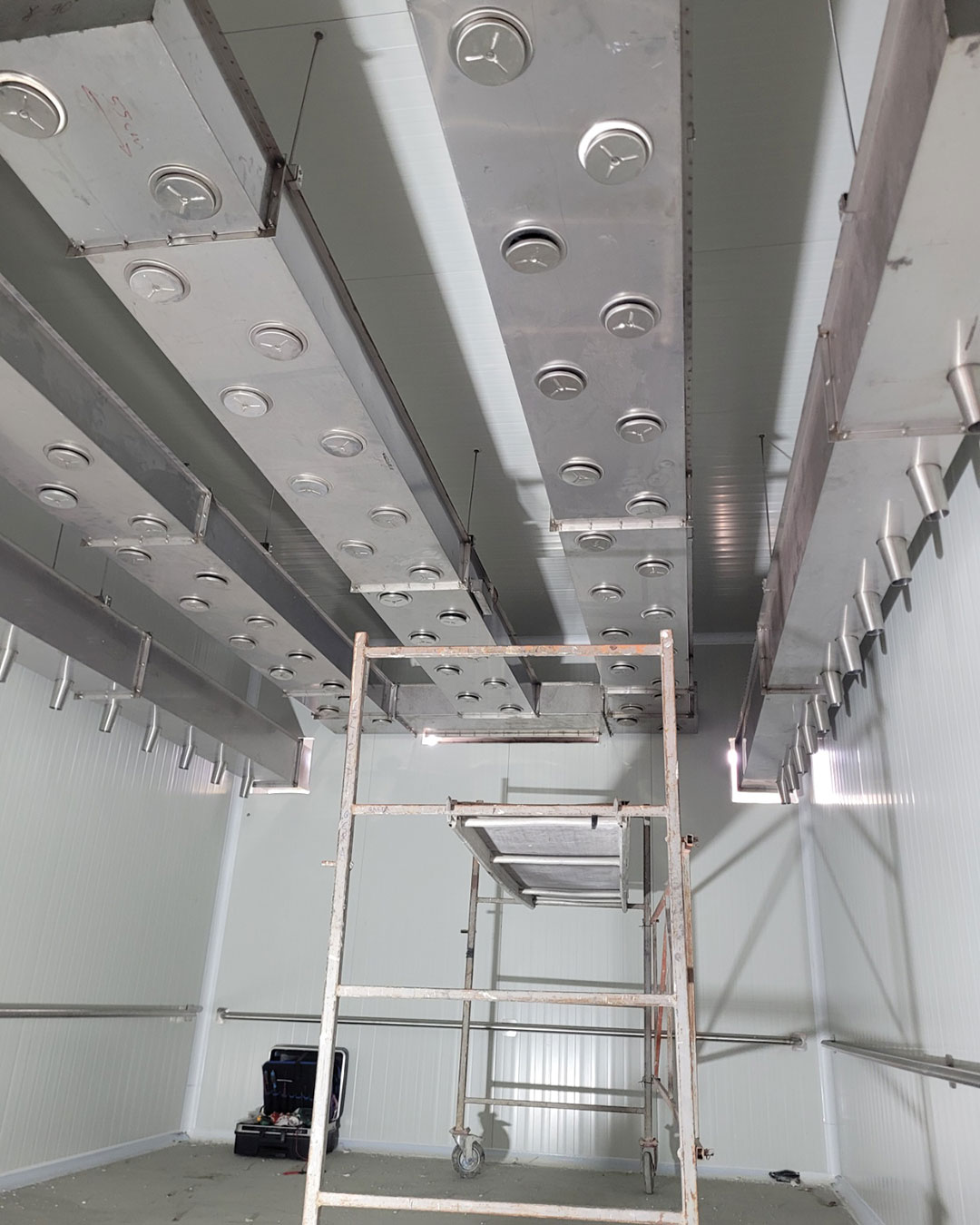 Fessmann - Air Conditioning Chamber for Maturing and Smoking